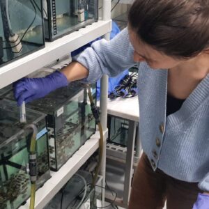 Mobilité doctorante : Morgane Lenoc, du LEMAR à l’Université de Padoue en Italie